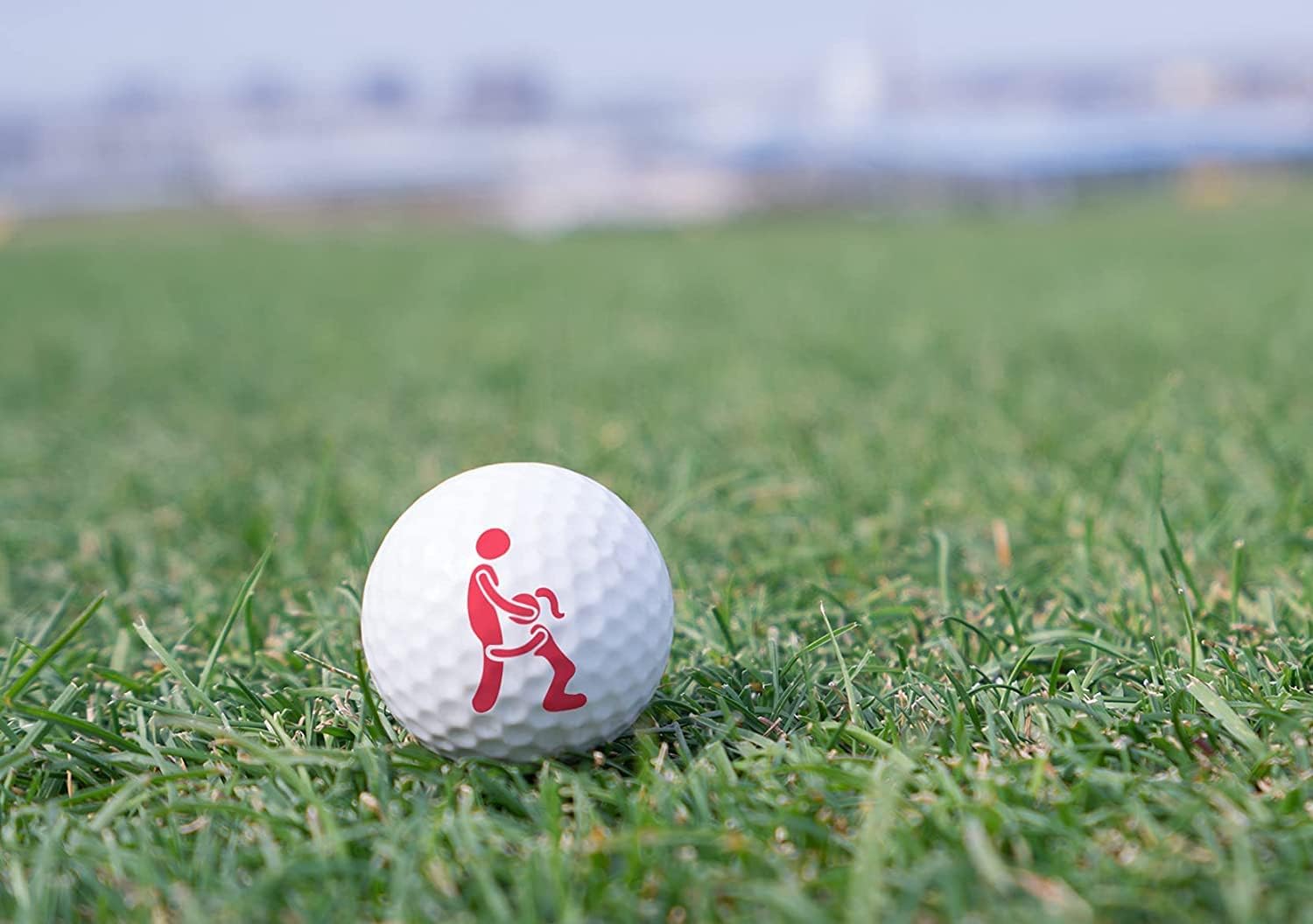 Hole in One Night Funny Golf Ball, Golf Decor, Mens Golf Gift