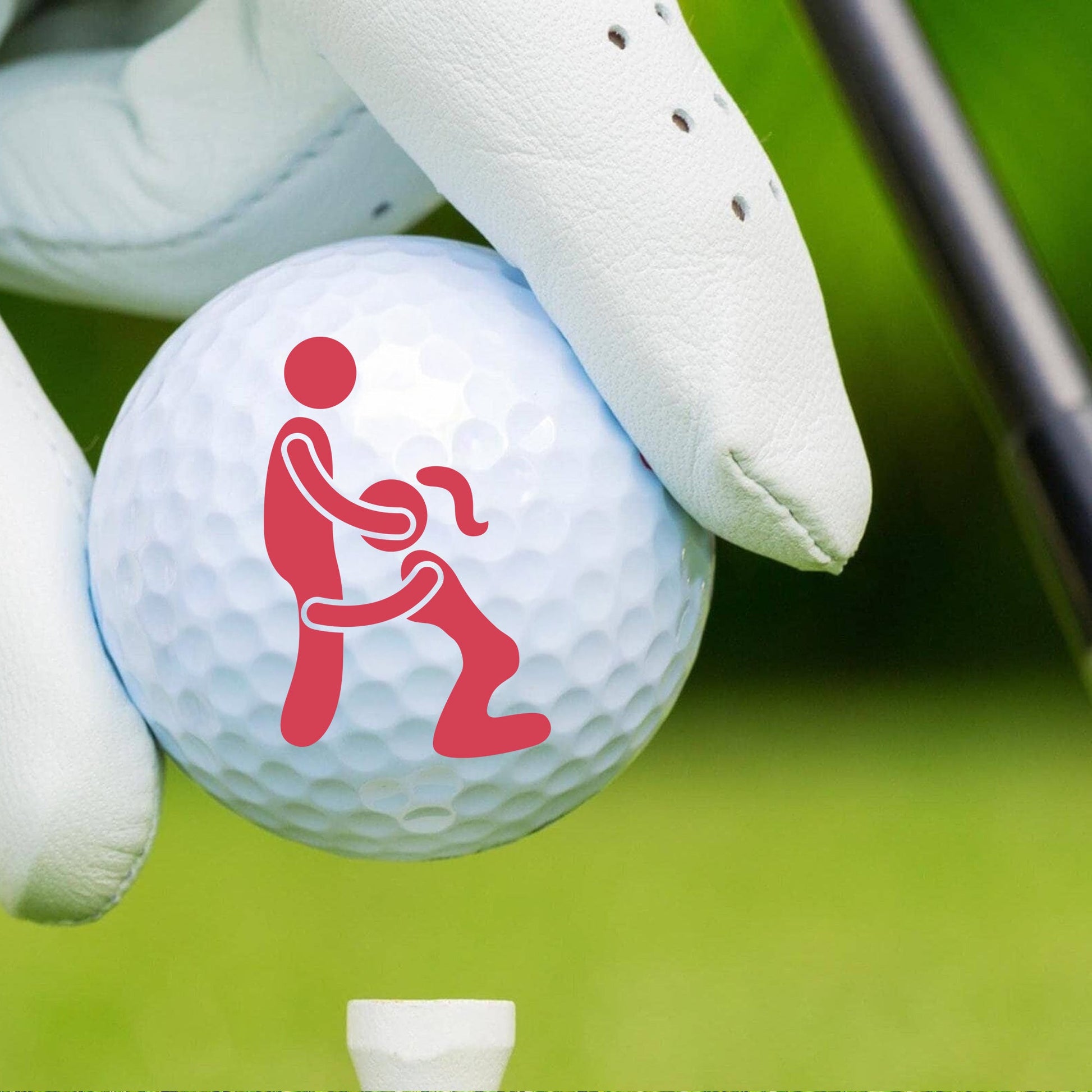 Hole in One Night Funny Golf Ball, Fun Position Golf Ball, Golf Decor, Mens Golf Gift